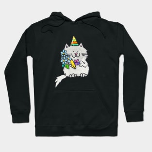 Gray birthday cat Hoodie